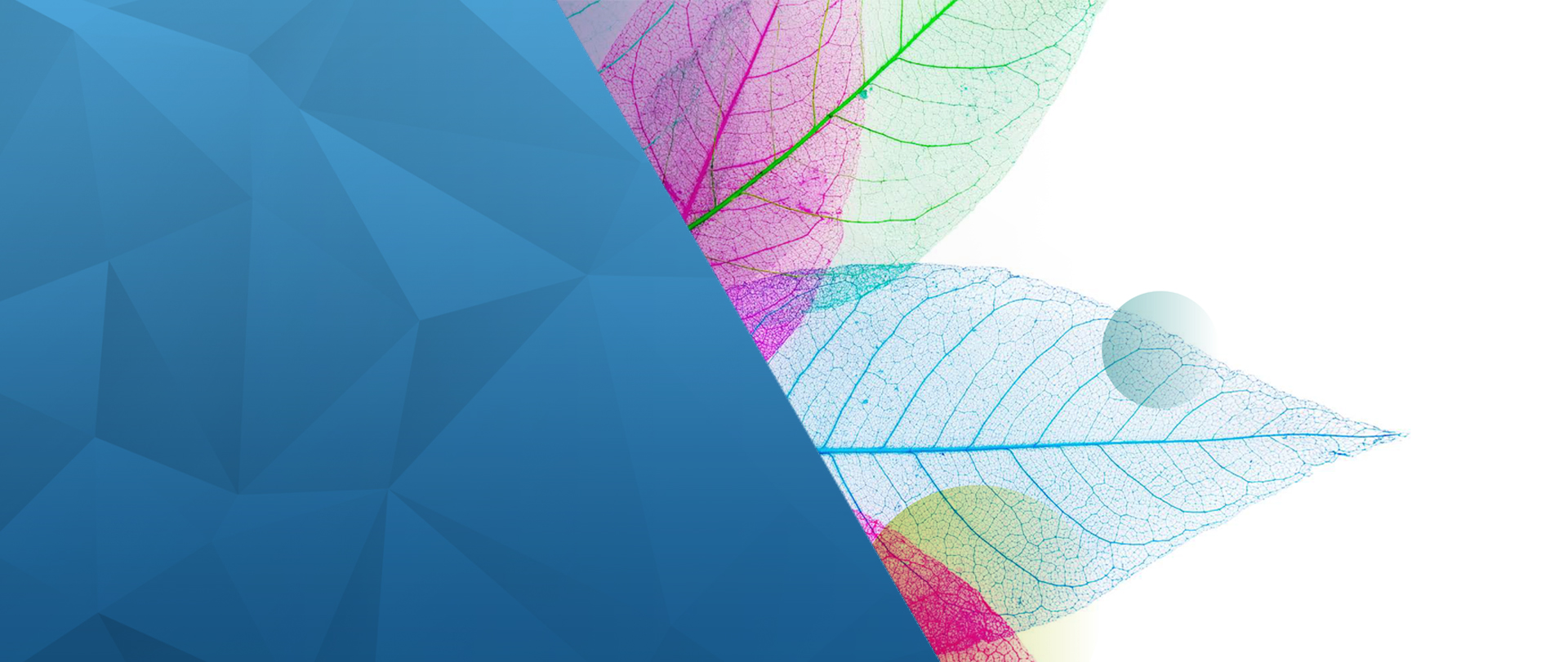 slider para pagina INNOVAIDIS